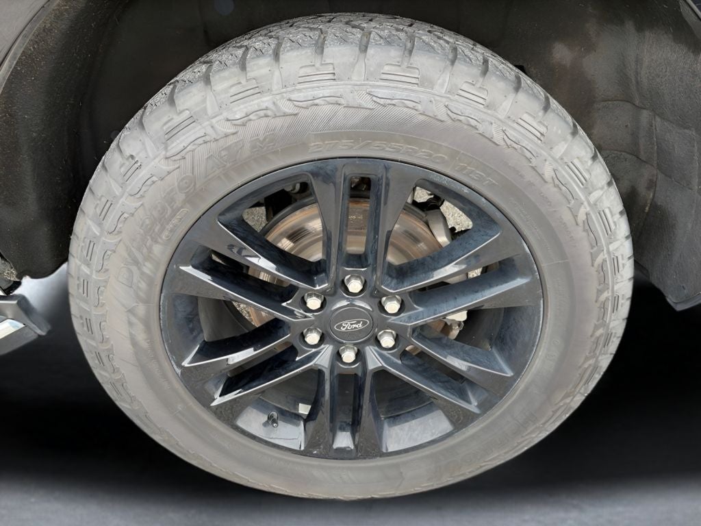 2023 Ford Expedition XLT