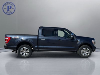 2022 Ford F-150 Platinum